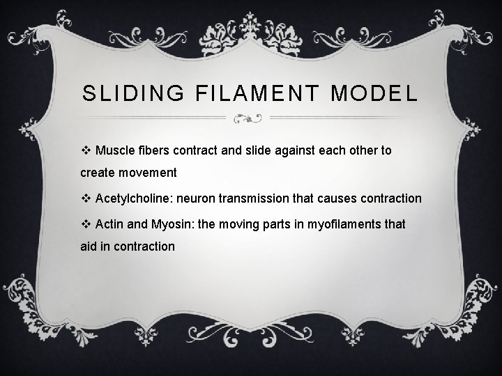 SLIDING FILAMENT MODEL v Muscle fibers contract and slide against each other to create