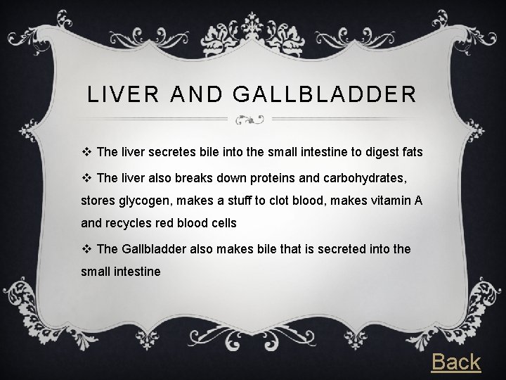 LIVER AND GALLBLADDER v The liver secretes bile into the small intestine to digest