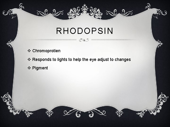 RHODOPSIN v Chromoprotien v Responds to lights to help the eye adjust to changes