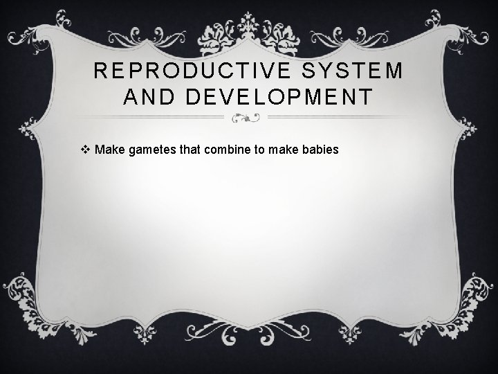 REPRODUCTIVE SYSTEM AND DEVELOPMENT v Make gametes that combine to make babies 