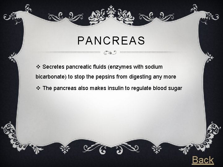 PANCREAS v Secretes pancreatic fluids (enzymes with sodium bicarbonate) to stop the pepsins from