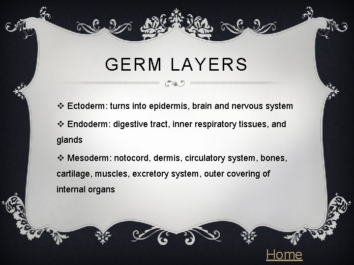 GERM LAYERS v Ectoderm: turns into epidermis, brain and nervous system v Endoderm: digestive