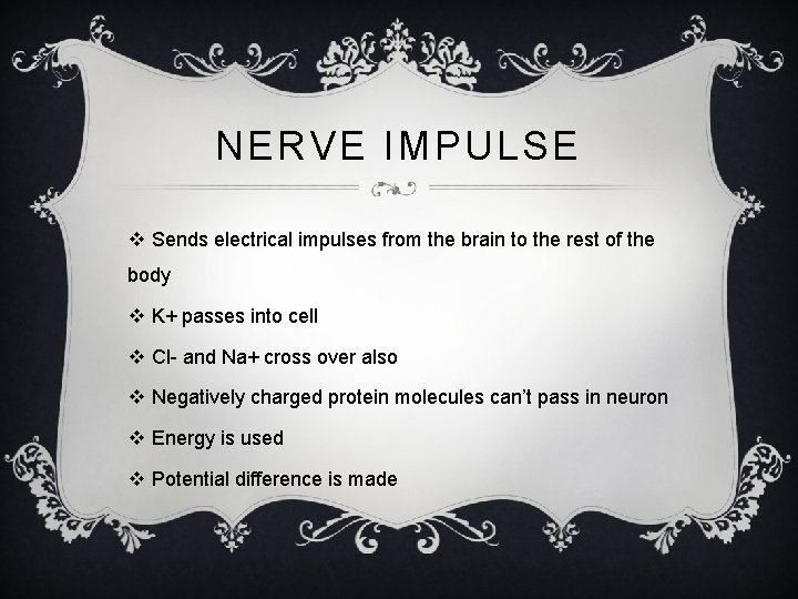 NERVE IMPULSE v Sends electrical impulses from the brain to the rest of the