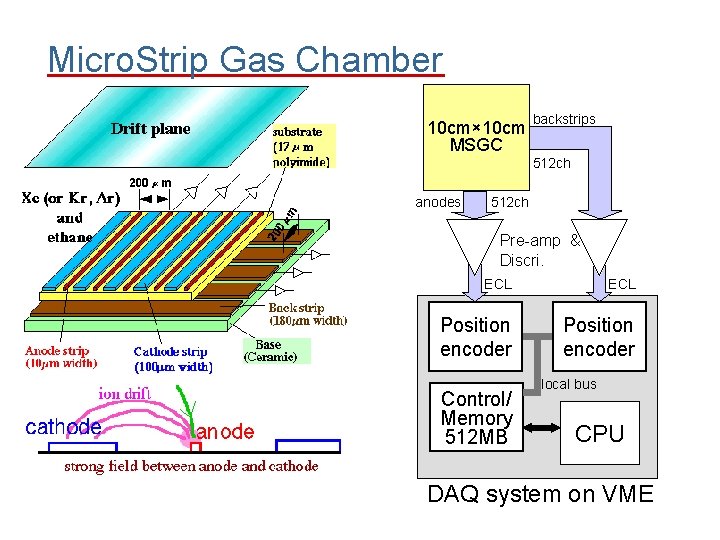 Micro. Strip Gas Chamber 10 cm× 10 cm MSGC backstrips 512 ch anodes 512