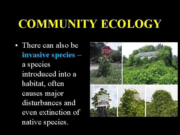 COMMUNITY ECOLOGY • There can also be invasive species – a species introduced into