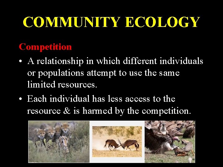 COMMUNITY ECOLOGY Competition • A relationship in which different individuals or populations attempt to