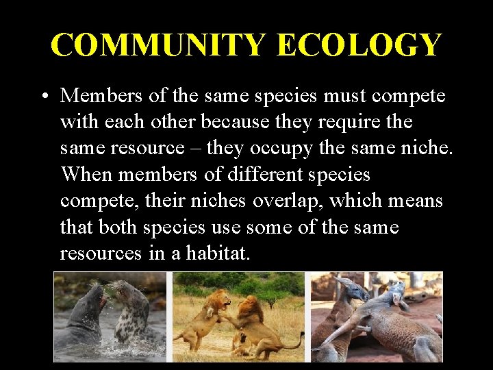 COMMUNITY ECOLOGY • Members of the same species must compete with each other because