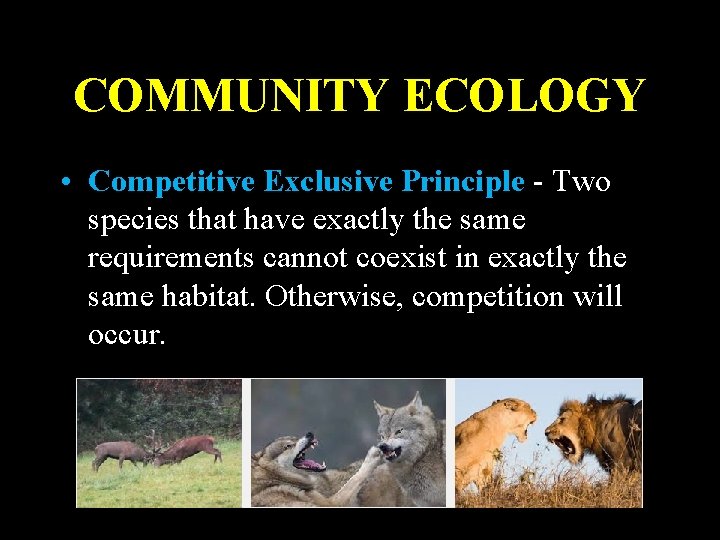 COMMUNITY ECOLOGY • Competitive Exclusive Principle - Two species that have exactly the same