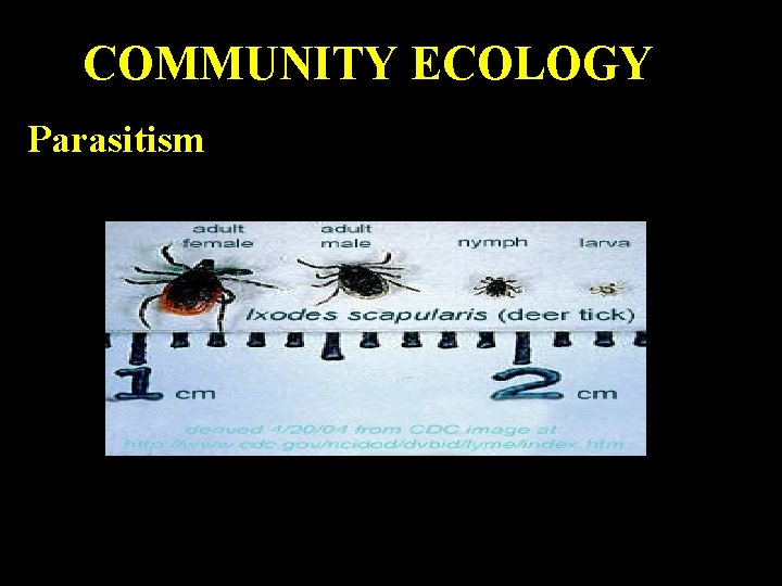 COMMUNITY ECOLOGY Parasitism 