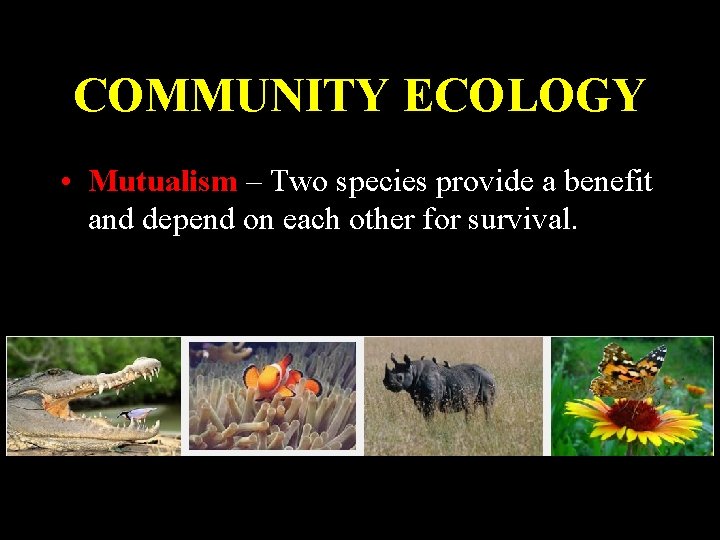 COMMUNITY ECOLOGY • Mutualism – Two species provide a benefit and depend on each