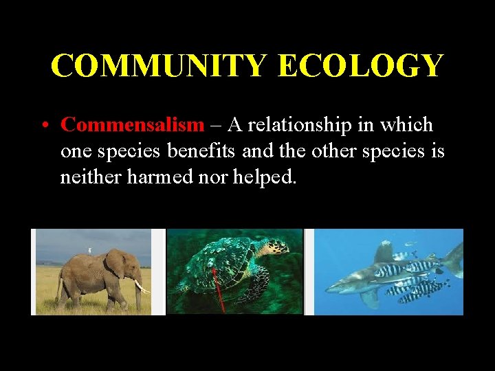 COMMUNITY ECOLOGY • Commensalism – A relationship in which one species benefits and the