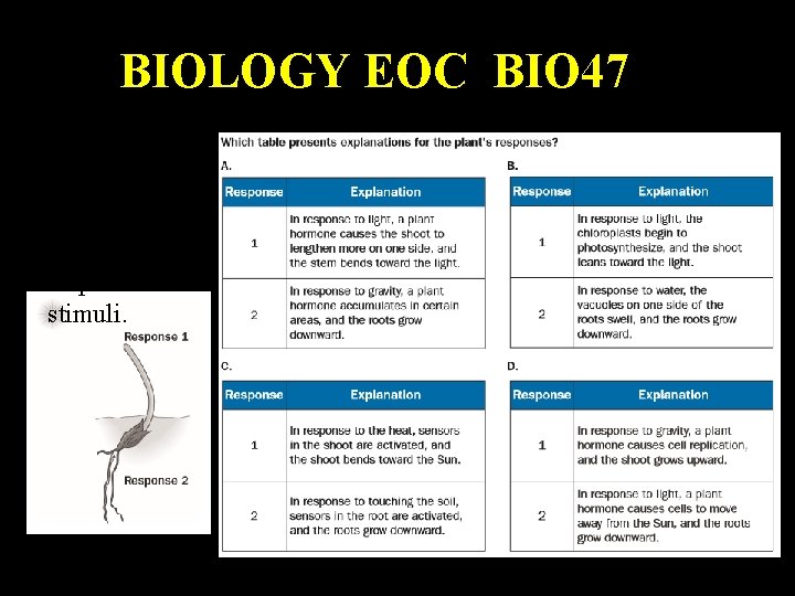 BIOLOGY EOC BIO 47 The diagram below shows a plant’s response to stimuli. 