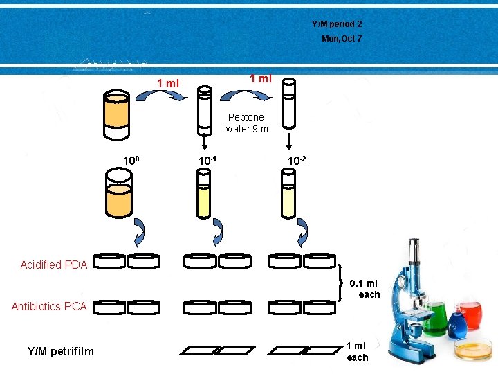 Y/M period 2 Mon, Oct 7 1 ml Peptone water 9 ml 100 10 Y/M period 2 Mon, Oct 7 1 ml Peptone water 9 ml 100 10