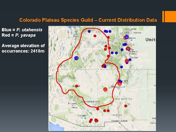 Colorado Plateau Species Guild – Current Distribution Data Blue = P. utahensis Red = Colorado Plateau Species Guild – Current Distribution Data Blue = P. utahensis Red =