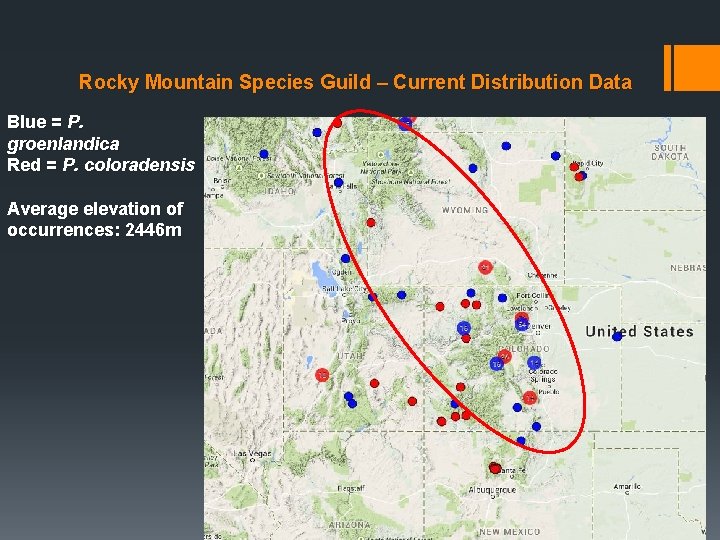 Rocky Mountain Species Guild – Current Distribution Data Blue = P. groenlandica Red = Rocky Mountain Species Guild – Current Distribution Data Blue = P. groenlandica Red =