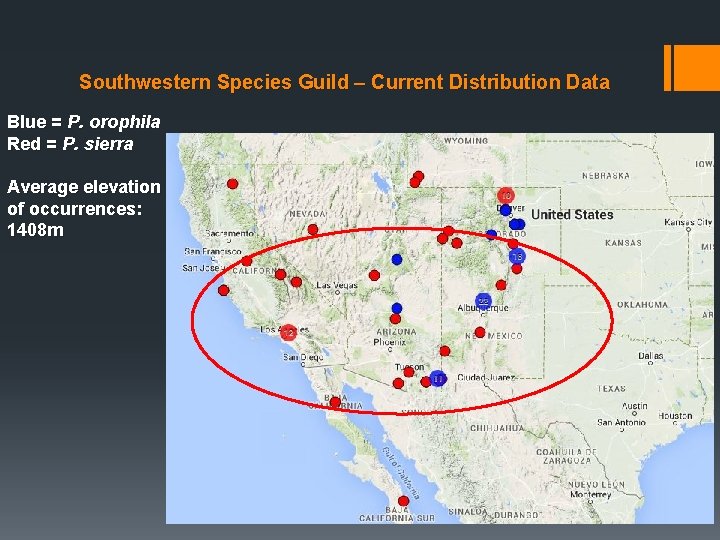 Southwestern Species Guild – Current Distribution Data Blue = P. orophila Red = P. Southwestern Species Guild – Current Distribution Data Blue = P. orophila Red = P.
