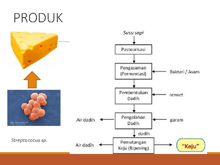 PRODUK Streptococus sp. 