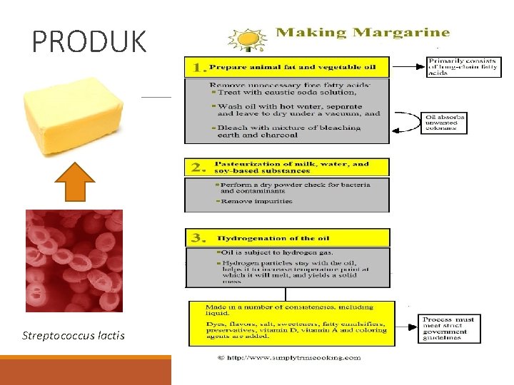 PRODUK Streptococcus lactis 