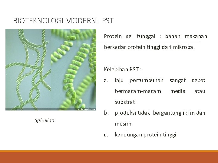 BIOTEKNOLOGI MODERN : PST Protein sel tunggal : bahan makanan berkadar protein tinggi dari