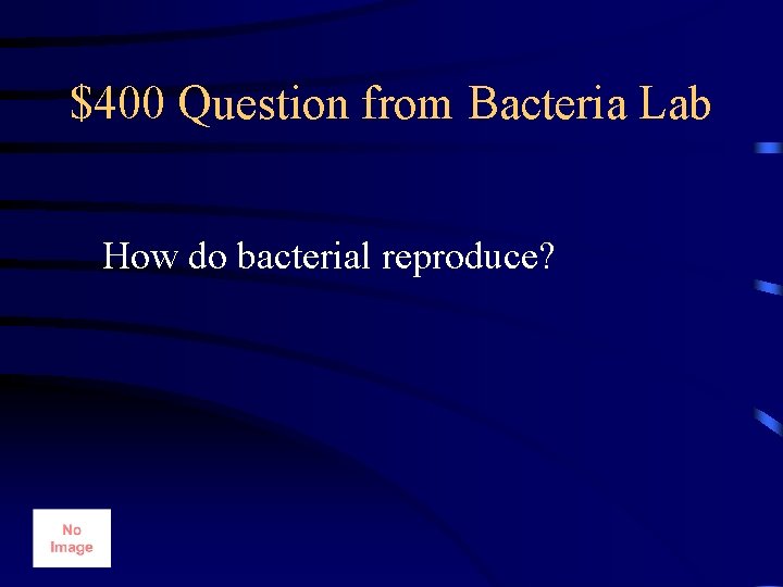 $400 Question from Bacteria Lab How do bacterial reproduce? 