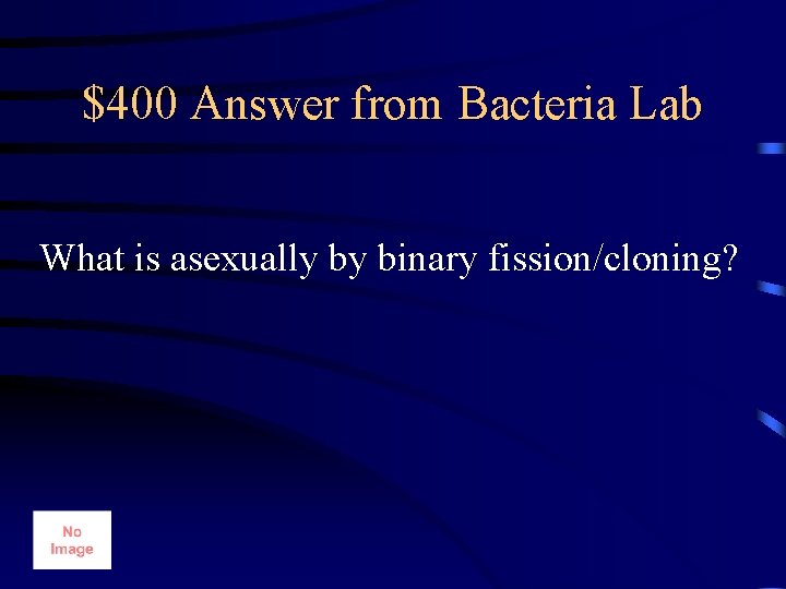 $400 Answer from Bacteria Lab What is asexually by binary fission/cloning? 
