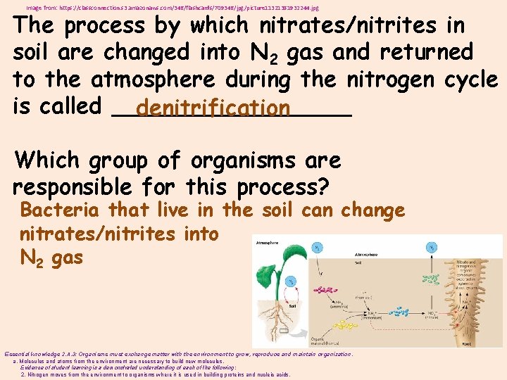 Image from: https: //classconnection. s 3. amazonaws. com/346/flashcards/709346/jpg/picture 11321381932244. jpg The process by which