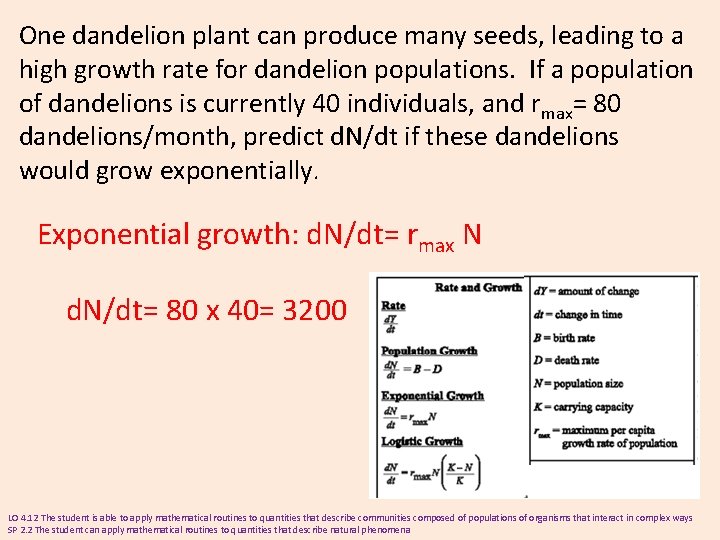 One dandelion plant can produce many seeds, leading to a high growth rate for