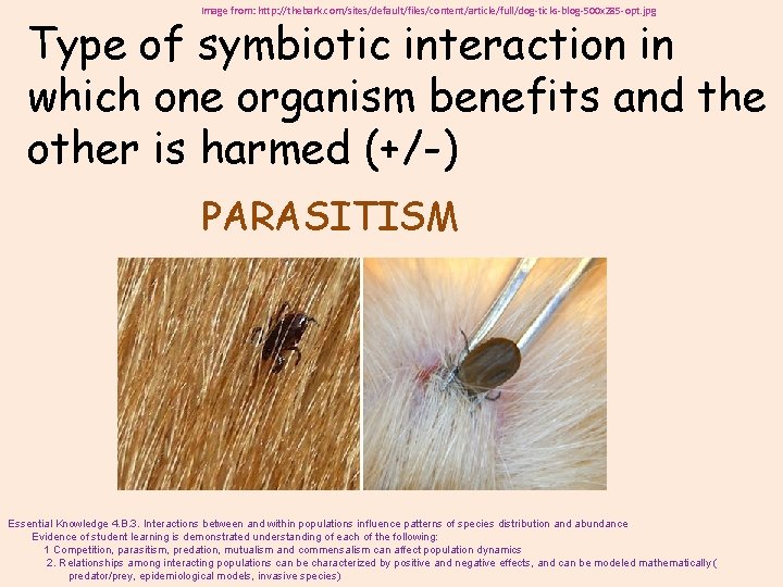 Image from: http: //thebark. com/sites/default/files/content/article/full/dog-ticks-blog-500 x 285 -opt. jpg Type of symbiotic interaction in