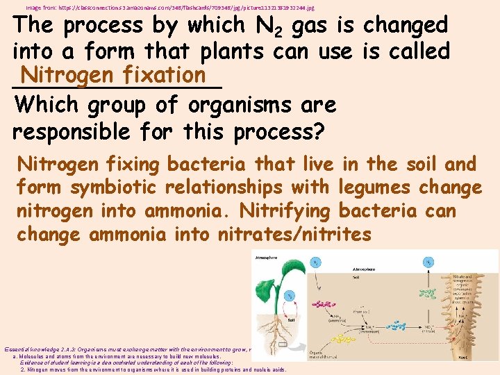 Image from: https: //classconnection. s 3. amazonaws. com/346/flashcards/709346/jpg/picture 11321381932244. jpg The process by which