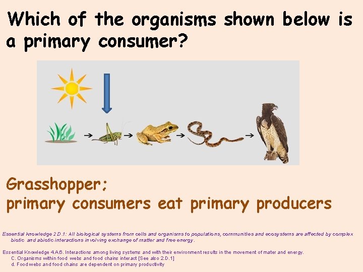 Which of the organisms shown below is a primary consumer? Grasshopper; primary consumers eat