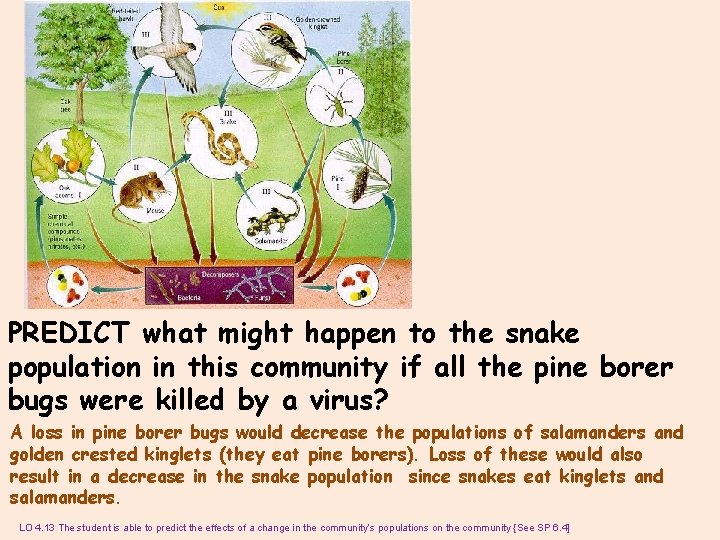 PREDICT what might happen to the snake population in this community if all the