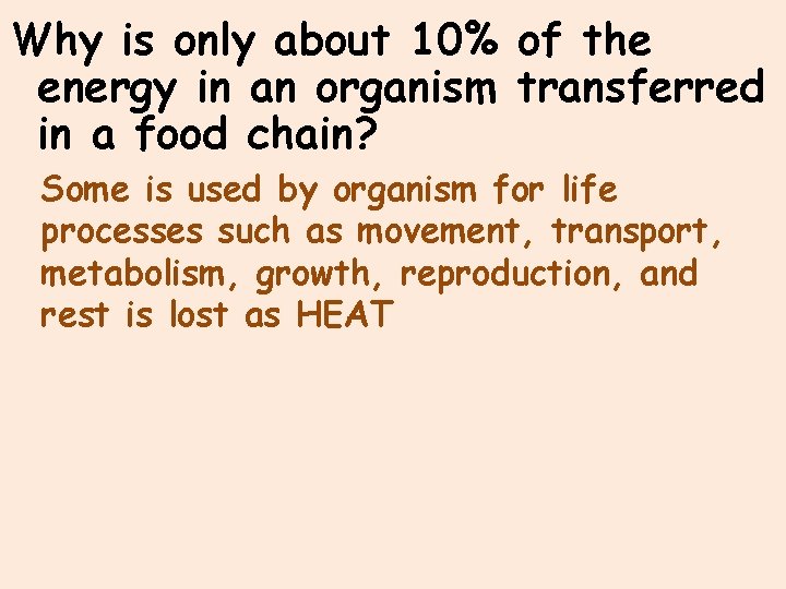 Why is only about 10% of the energy in an organism transferred in a