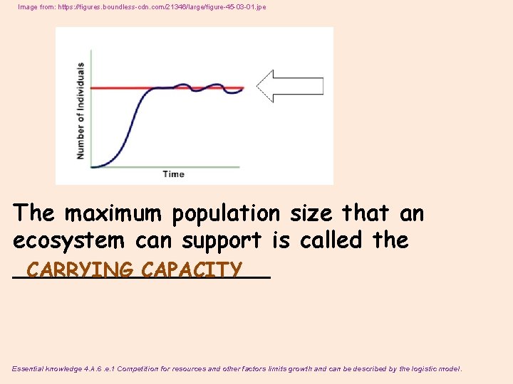 Image from: https: //figures. boundless-cdn. com/21346/large/figure-45 -03 -01. jpe The maximum population size that