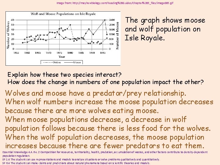 Image from: http: //mayhewbiology. com/Reading%20 Guides/Chapter%205_files/image 005. gif The graph shows moose and wolf