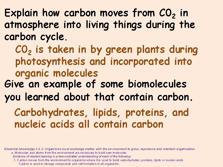 Explain how carbon moves from C 02 in atmosphere into living things during the