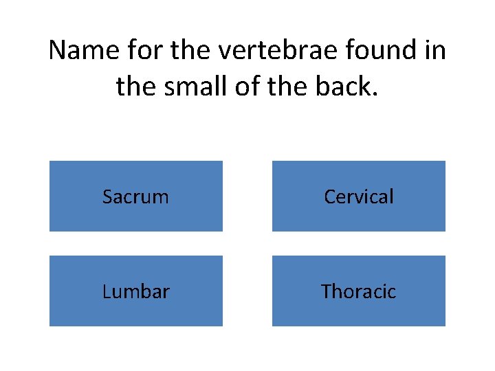 Name for the vertebrae found in the small of the back. Sacrum Cervical Lumbar