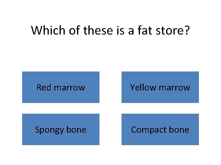 Which of these is a fat store? Red marrow Yellow marrow Spongy bone Compact