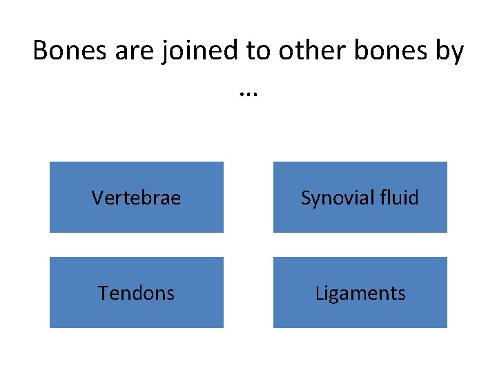 Bones are joined to other bones by … Vertebrae Synovial fluid Tendons Ligaments 