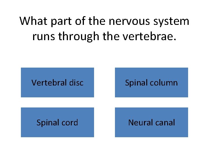 What part of the nervous system runs through the vertebrae. Vertebral disc Spinal column