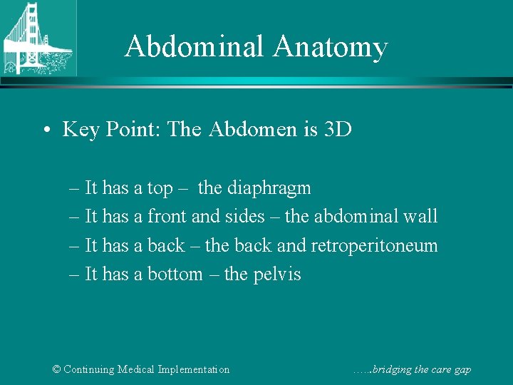 Abdominal Anatomy • Key Point: The Abdomen is 3 D – It has a