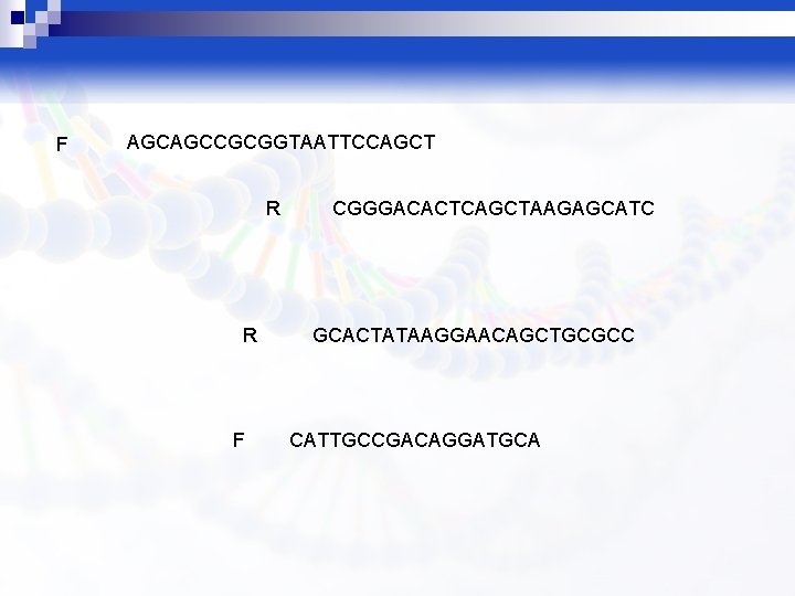 F AGCAGCCGCGGTAATTCCAGCT R R F CGGGACACTCAGCTAAGAGCATC GCACTATAAGGAACAGCTGCGCC CATTGCCGACAGGATGCA 