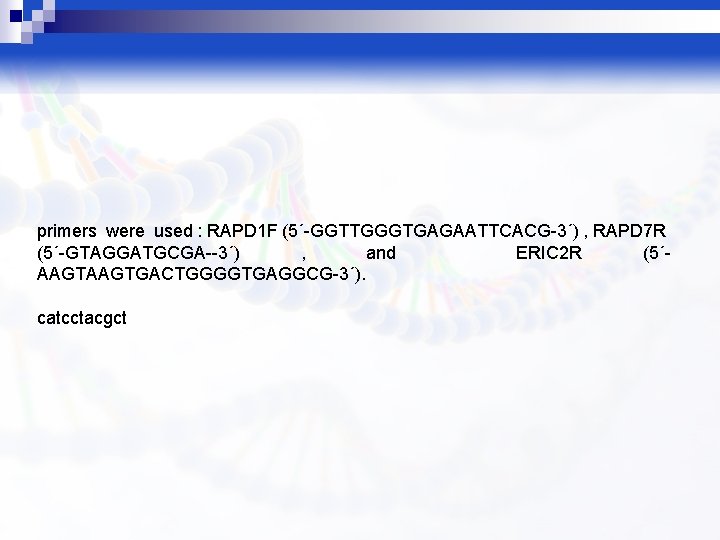 primers were used : RAPD 1 F (5´-GGTTGGGTGAGAATTCACG-3΄) , RAPD 7 R (5´-GTAGGATGCGA--3΄) ,
