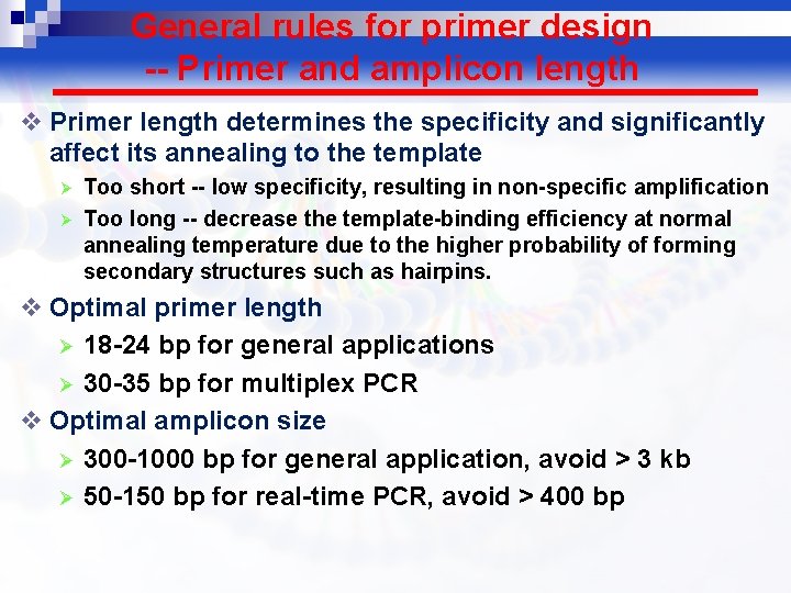 General rules for primer design -- Primer and amplicon length v Primer length determines