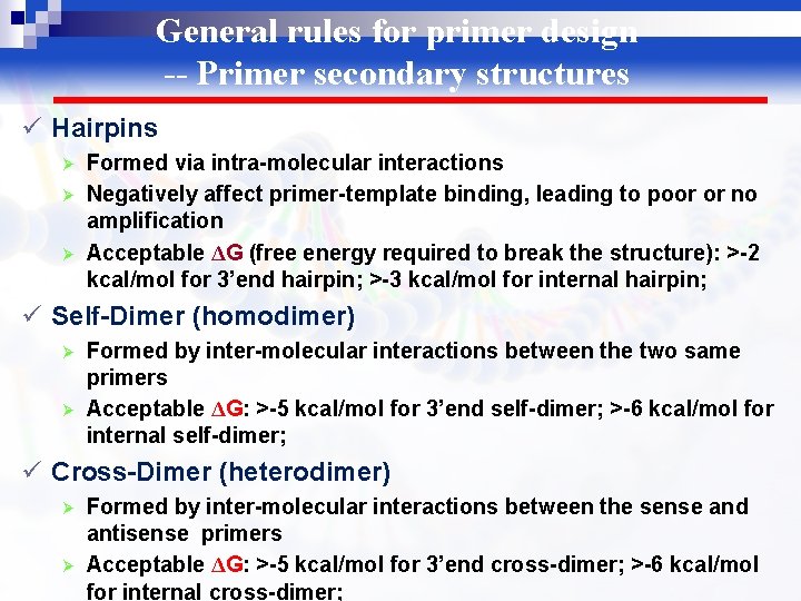 General rules for primer design -- Primer secondary structures ü Hairpins Ø Ø Ø