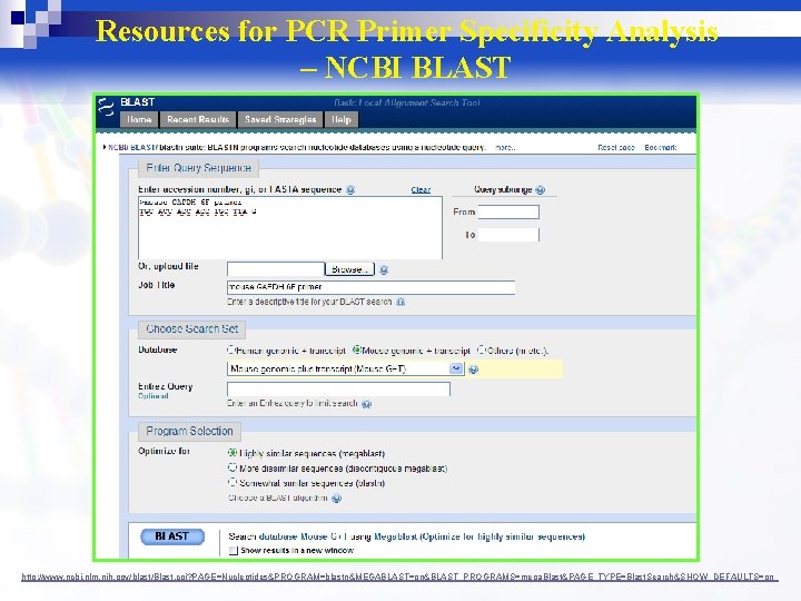 Resources for PCR Primer Specificity Analysis – NCBI BLAST http: //www. ncbi. nlm. nih.