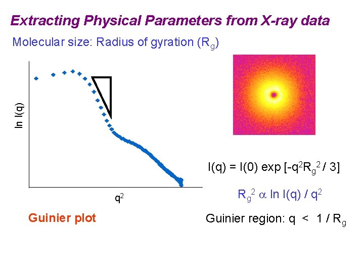 Extracting Physical Parameters from X-ray data ln I(q) Molecular size: Radius of gyration (Rg)