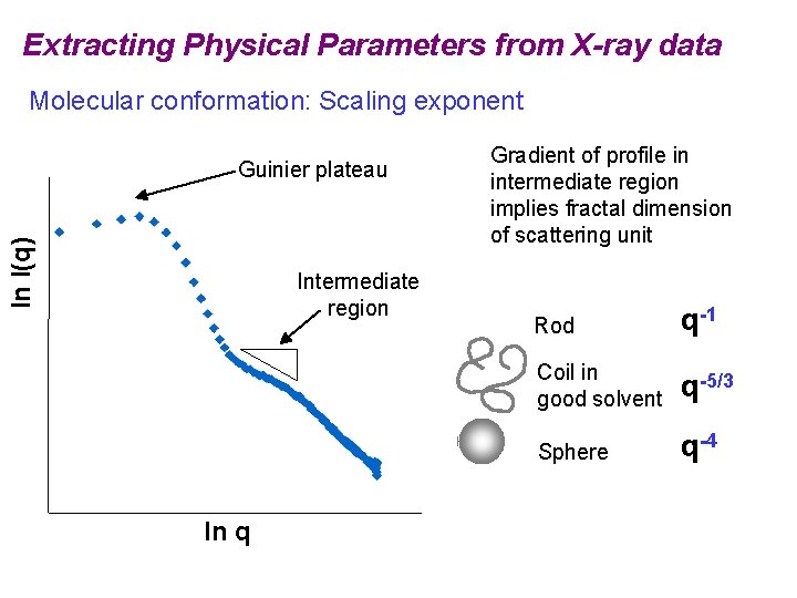 Extracting Physical Parameters from X-ray data Molecular conformation: Scaling exponent ln I(q) Guinier plateau