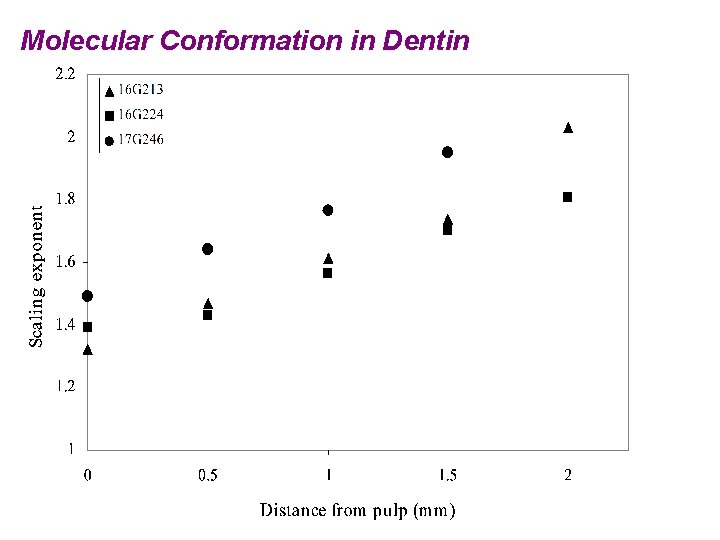 Molecular Conformation in Dentin 
