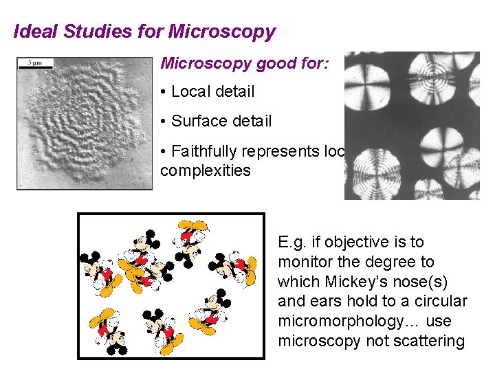 Ideal Studies for Microscopy good for: • Local detail • Surface detail • Faithfully