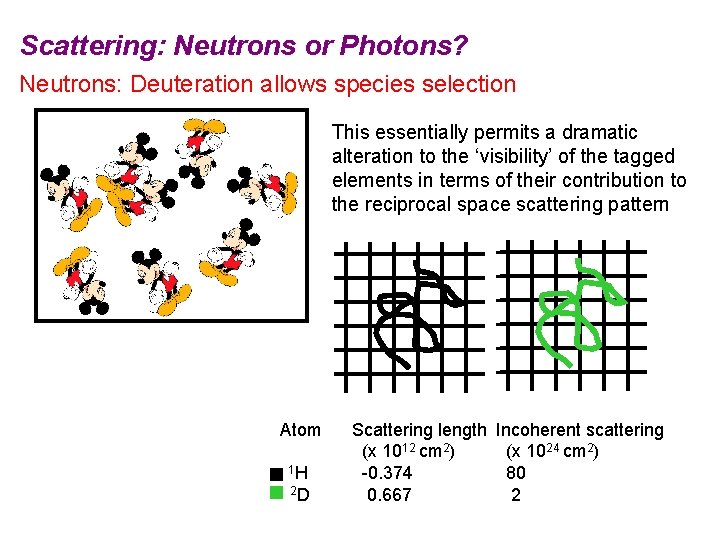 Scattering: Neutrons or Photons? Neutrons: Deuteration allows species selection This essentially permits a dramatic